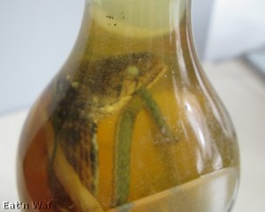 cob5