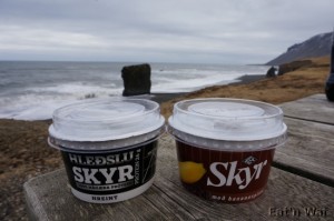 Au pays de la neige, on fait du skyr